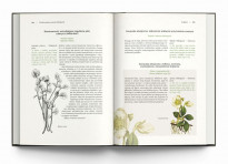 Wielka apteka świętej Hildegardy - Gottfried Hertzka, Wighrad Strehlow : Poradniki o zdrowiu
