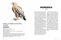 Głupie ptaki Polski. Przewodnik świadomego obserwatora - Marek Maruszczak