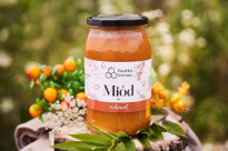 Miód z rokitnikiem 1150 g : Artykuły spożywcze