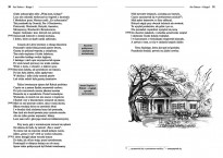 Pan Tadeusz - Adam Mickiewicz - wydanie z opracowaniem i streszczeniem : Wydawnictwo Greg