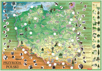 Mapa z naklejkami. Przyroda Polski