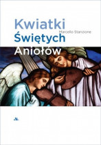 Klubowy pakiet anielski. Komplet siedmiu książek