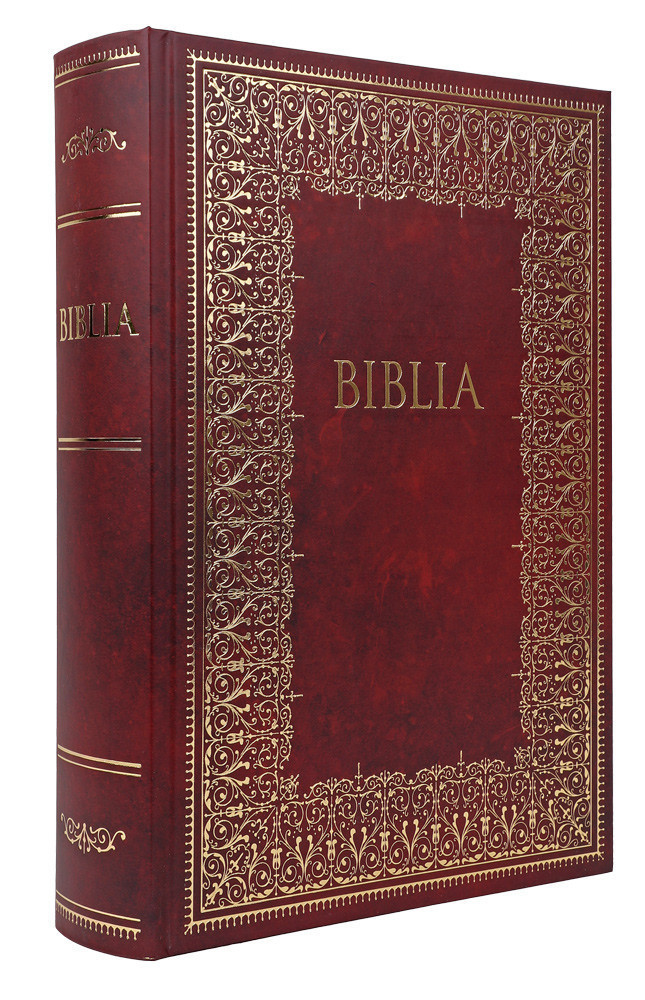 Biblia. Pismo Święte - Pamiątka I Komunii Świętej z dedykacją