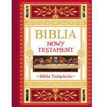 Biblia. Nowy Testament. Tekst – komentarz – ilustracje