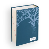 BIBLIA PLUS - turkusowa z paginacją