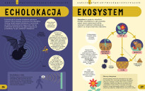 Encyklopedia STEM od A do Z 100 naukowych słów, które musisz znać!