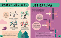 Encyklopedia STEM od A do Z 100 naukowych słów, które musisz znać!