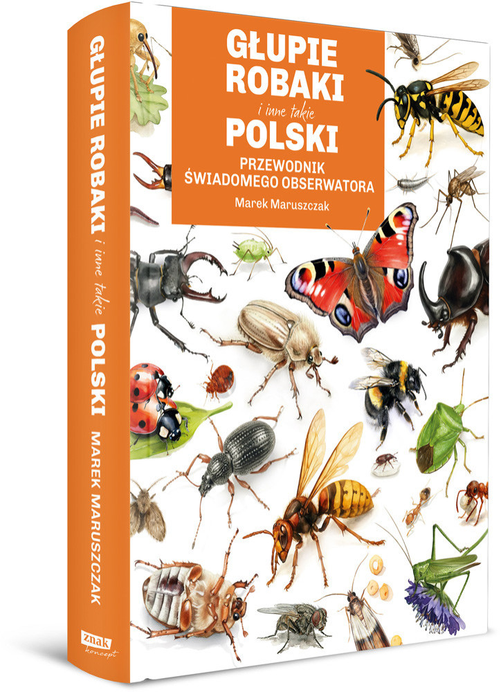 Głupie robaki i inne takie Polski