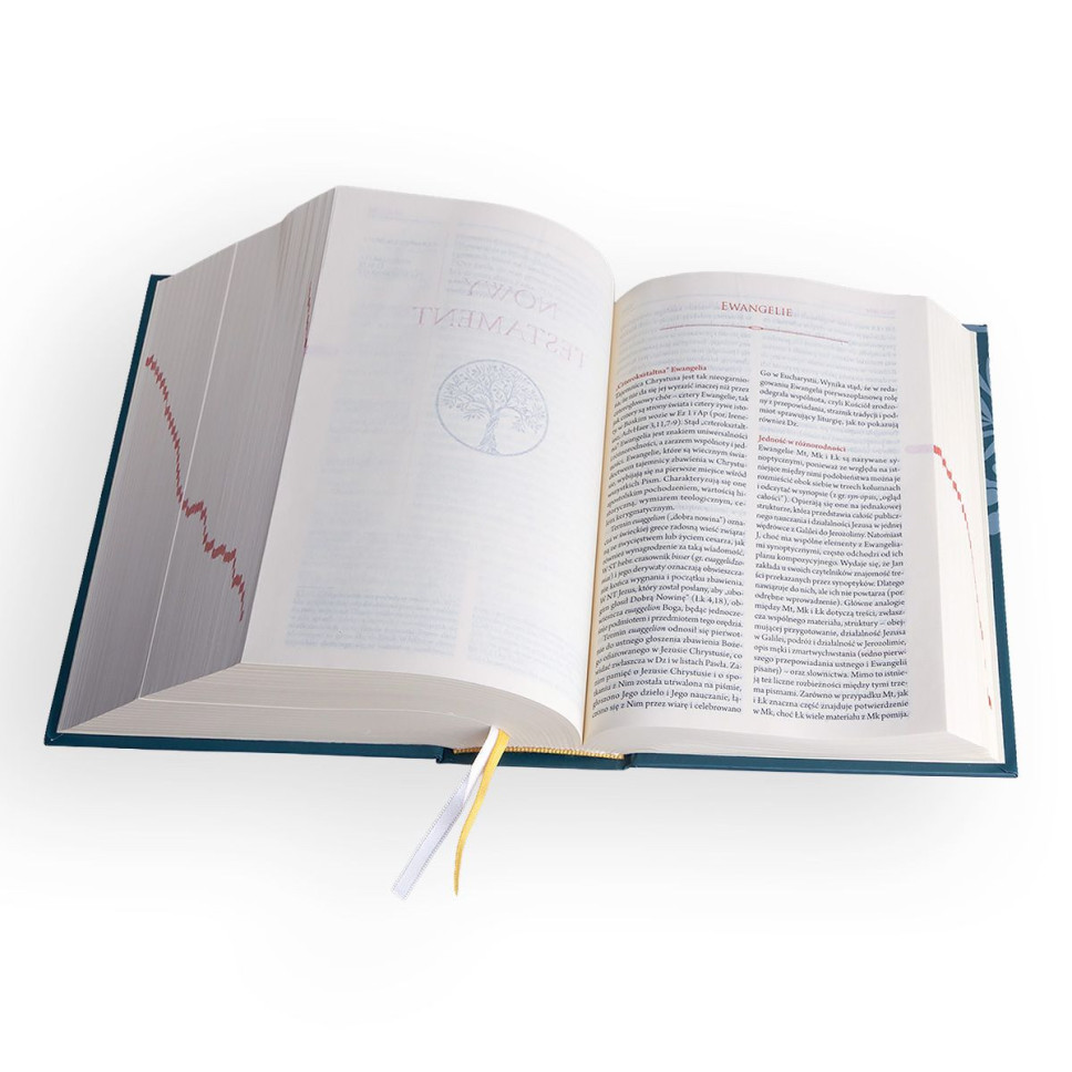 BIBLIA PLUS - turkusowa